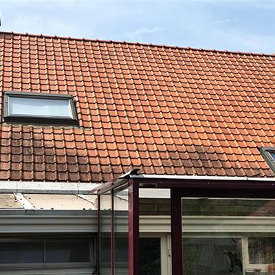 Ontmossen met gebruik van eigen hoogwerker